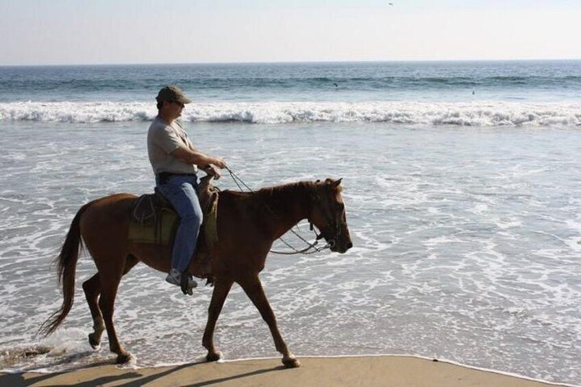 Horse Back Riding With Danitours Montain Rural Areas And Sand Beach