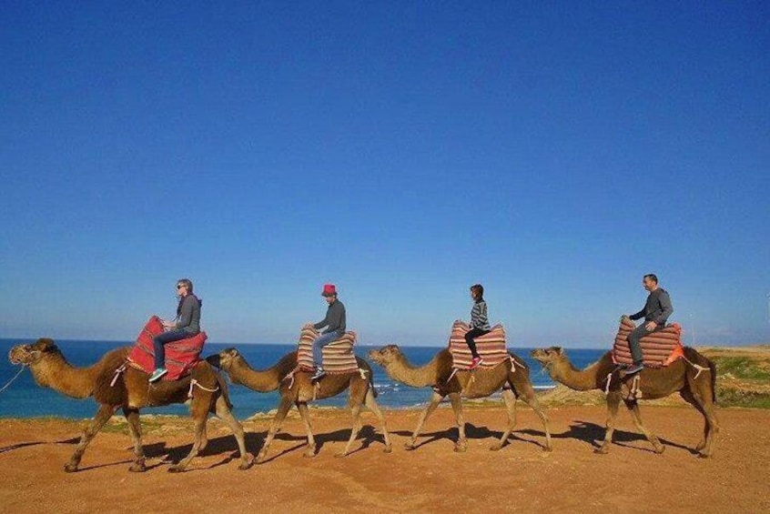 Camel ride
