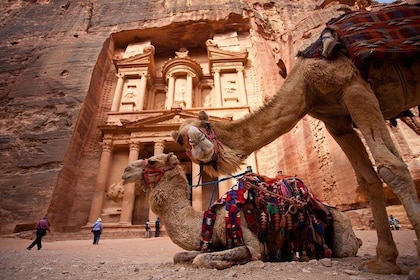 Best of Jordan Tour Amman Petra and Dead Sea with Camping at Wadi Rum