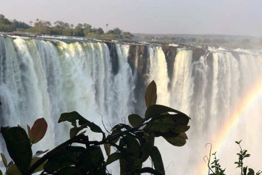 Victoria Falls 