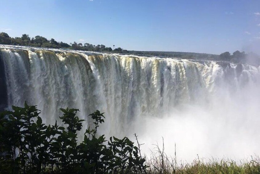 The falls
