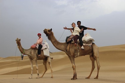 3 Days / 2 Nights Camel Safari