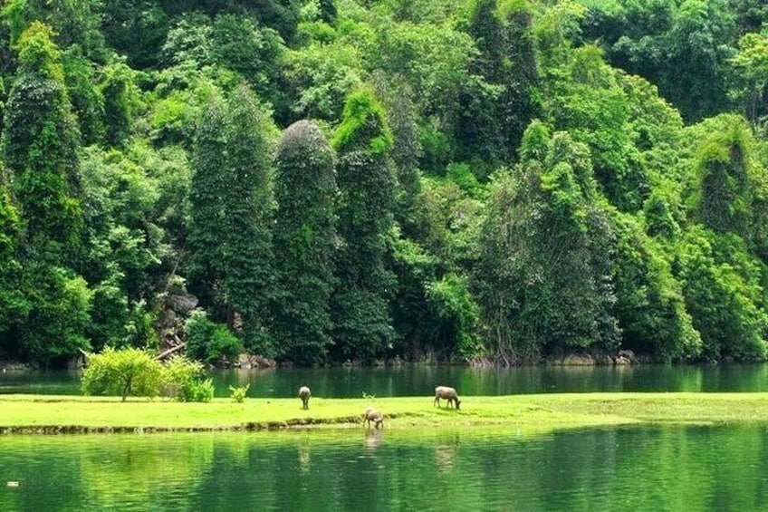 Private Tour Ba Be lake & Ban Gioc Waterfall 3 Days Starting from Hanoi