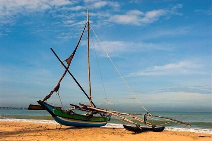 Excursión desde el puerto de Colombo a la playa de Negombo y vuelta para 3 ...