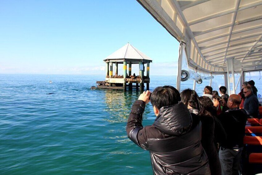 Amazing photo opportunities from the comfort of the boat.