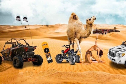 半天沙漠野生動物園||沙板||騎駱駝||內陸訪問||
