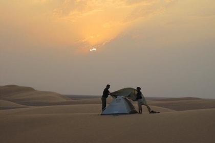 Camping Tour 13 Days Package (Oman North & South)