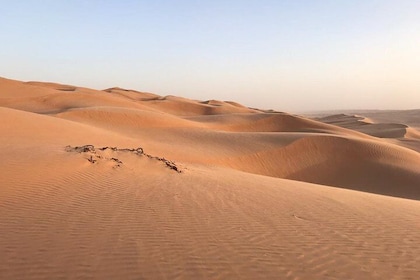 Day Trip to Wahiba Sands & Wadi Bani Khalid (Desert Safari)