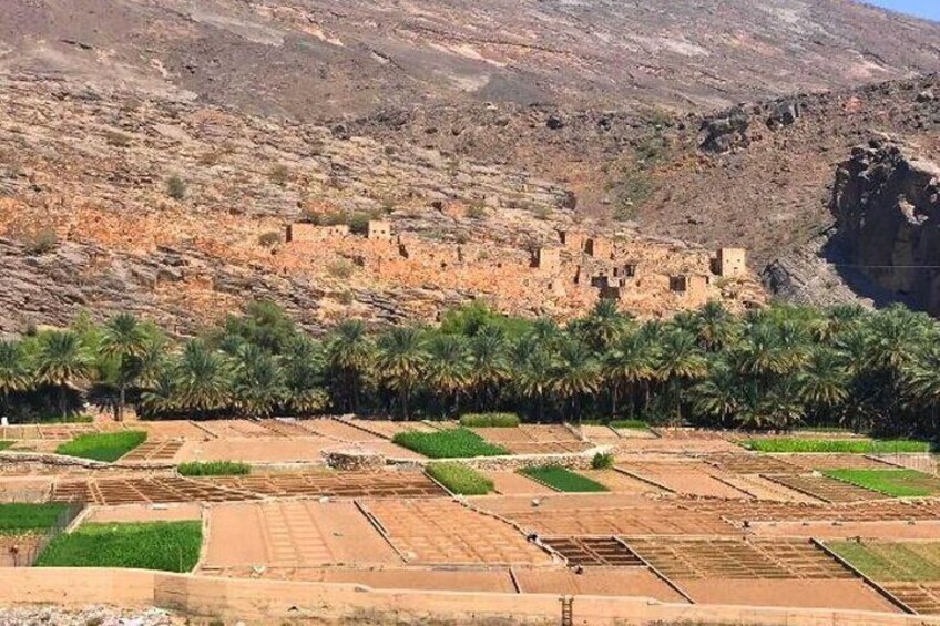 Nizwa Market, Nizwa Fort, Misfat Al Abriyeen, Jabal Shams 