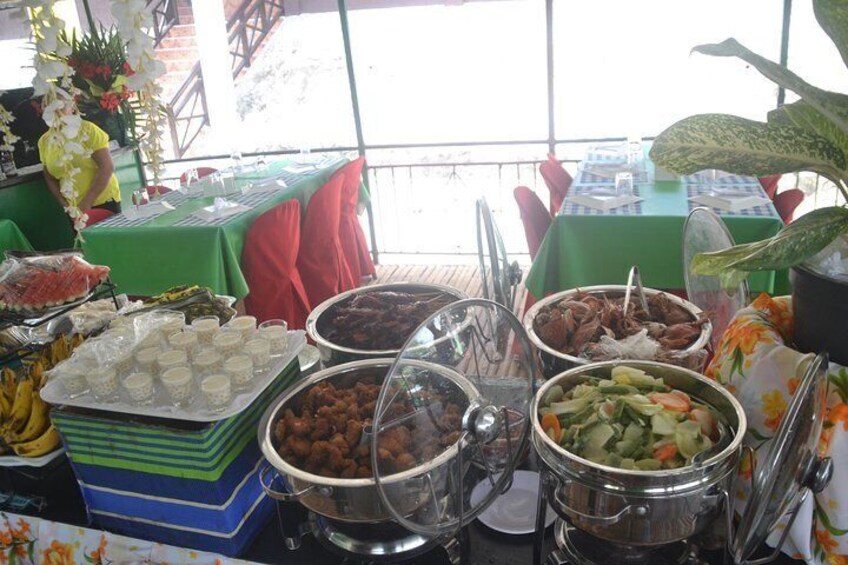 Bohol Island Countryside Tour with Buffet Lunch