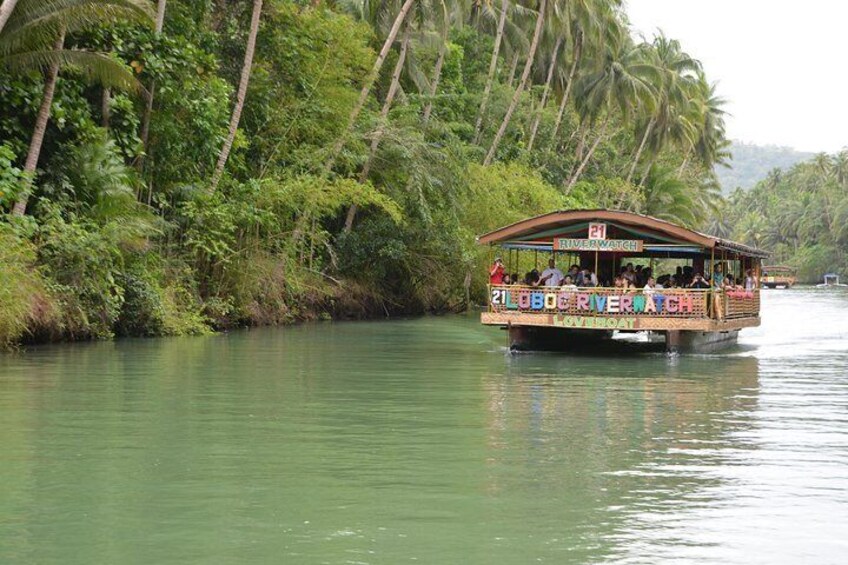 Bohol Island Countryside Tour with Buffet Lunch