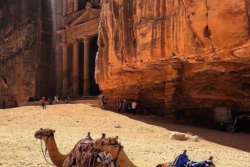 Petra Day Tour from Amman
