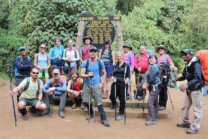 Kilimanjaro Lemosho Route 8 Days