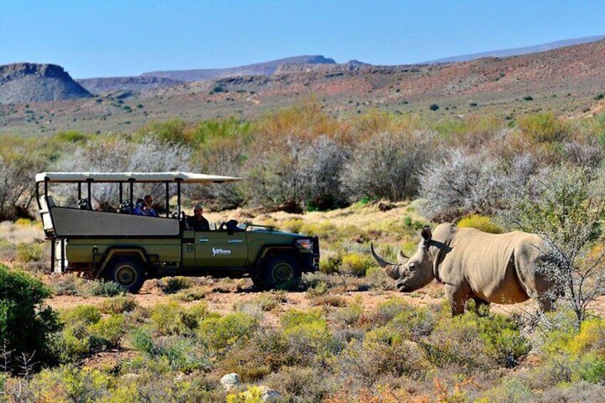 Game Drive