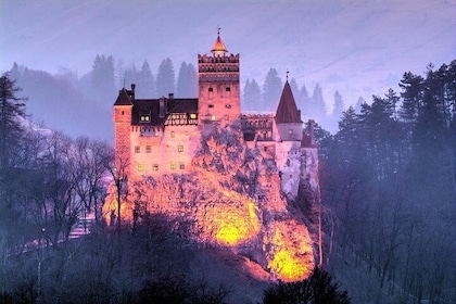 Bran Castle, Peles Castle and Brasov City - Private Tour from Bucharest