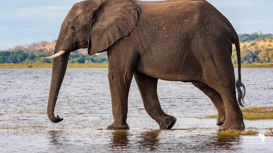 Full-Day Trip to Ngorongoro Crater from Arusha Town