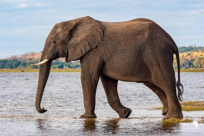 Full Day To Arusha National Park
