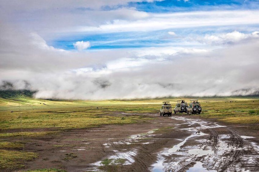 Full Day To Arusha National Park