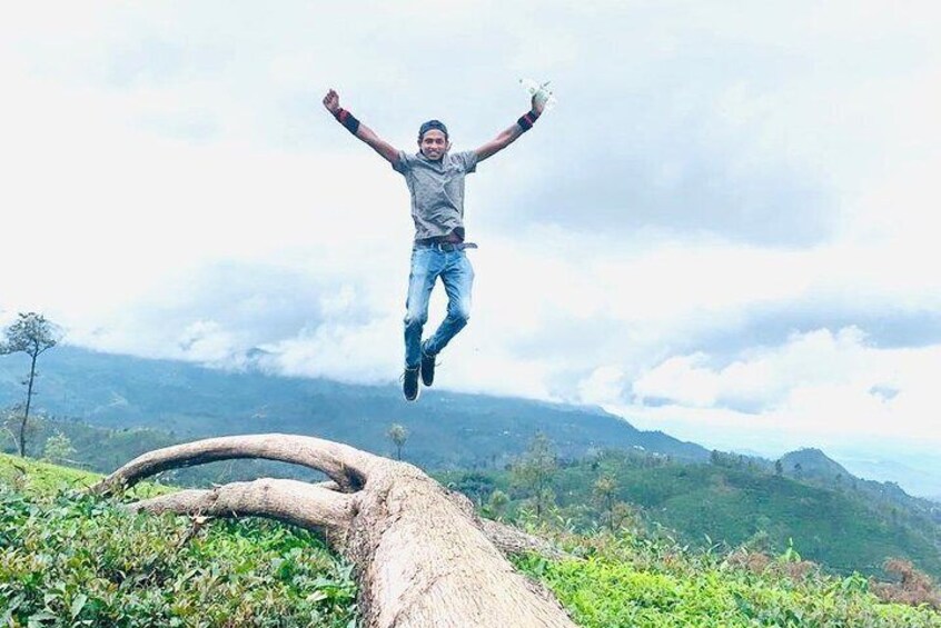 Guided tour Ella & Diyaluma waterfall by car