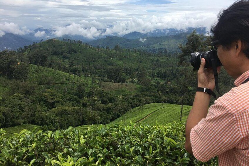 Guided tour Ella & Diyaluma waterfall by car