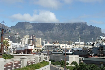 Private Full Day Panoramic Cape Town and Wine Tasting Tour from Cape Town