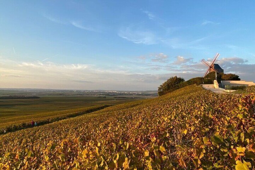 Private champagne tour (group price): 1 Famous house + 1 Winemaker + Cathedral