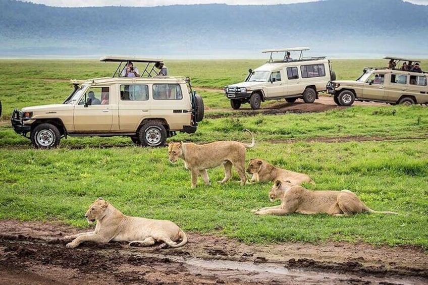 Ngorongoro Crater