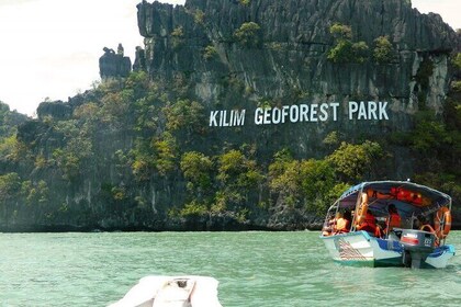 Discover Mangrove Forest and Cave Tour in Langkawi (Shared Tour)