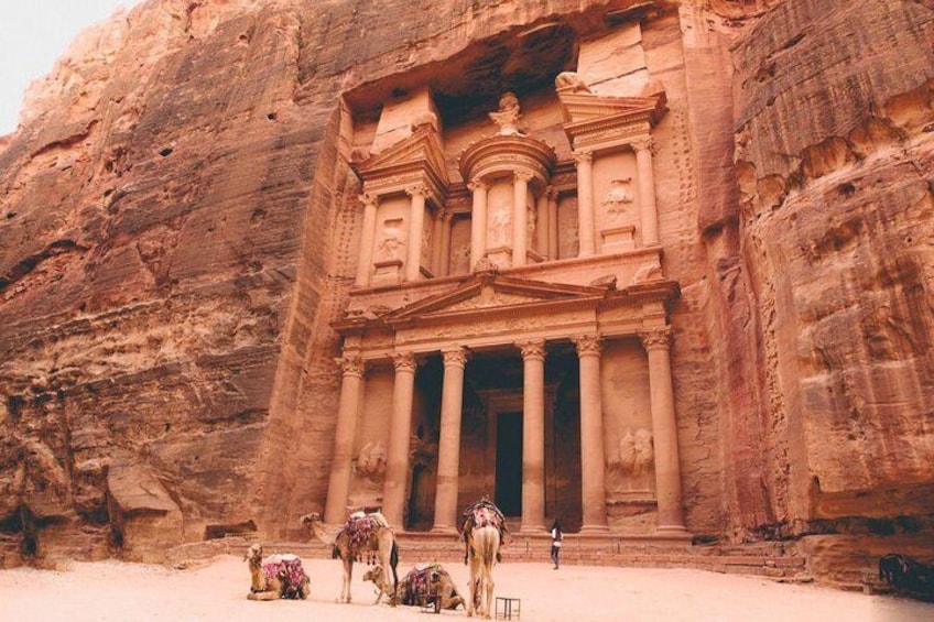 Petra Tour from Amman (Weddings & Honeymoon)
