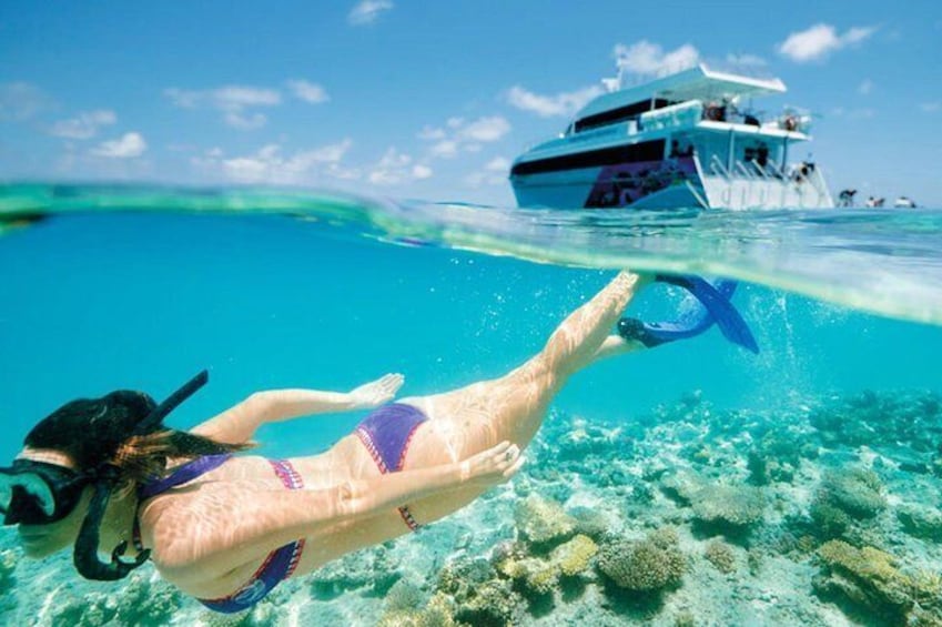 Snorkeling Trip from Muscat,Oman day tours