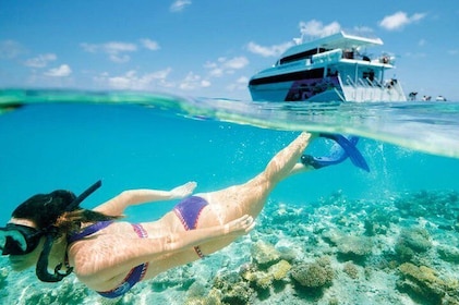 Snorkelling Trip from Muscat