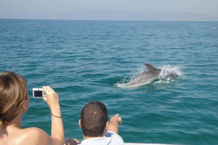 Dolphin and snorkeling Muscat 