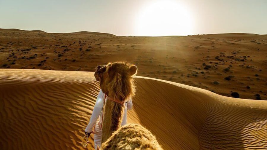 Oman packages,Oman tours,Oman day tours
