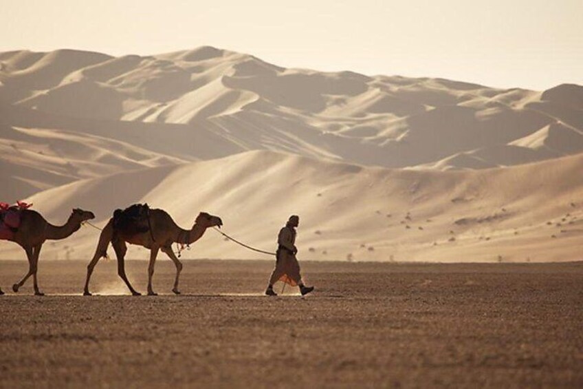 Empty quarter,Salalah tours,Oman day tours