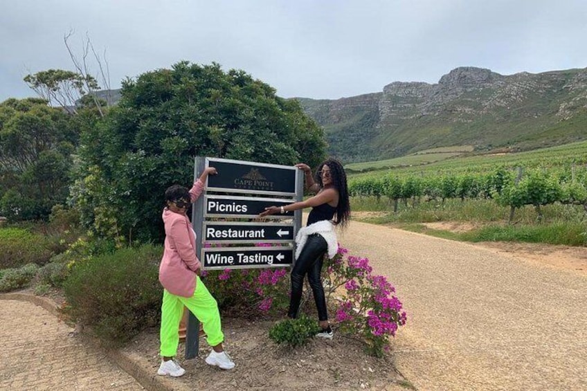 Private Cape wine Tasting day tour,taste up to 15 wines at 3 different wineries.
