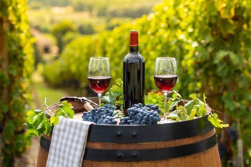 Private Cape wine Tasting day tour,taste up to 15 wines at 3 different wineries.