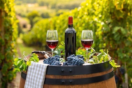 Private Top Award-Winning Cape Wine Tasting Full Day Tour