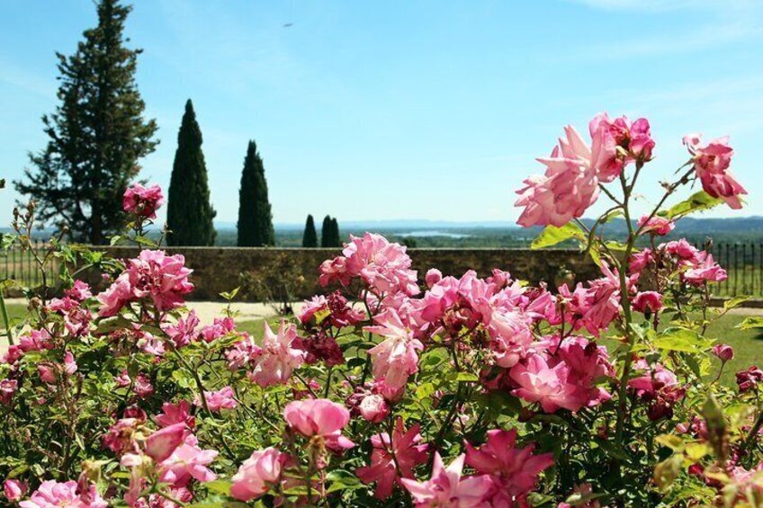 Châteauneuf du Pape & the wines of the region, gastronomy, fine wine & joie 