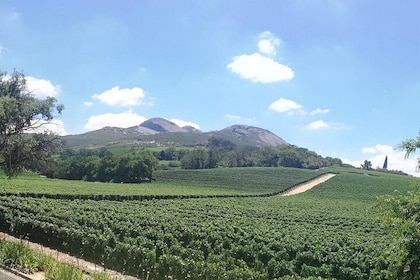 Private Full Day Tour in Cape Winelands