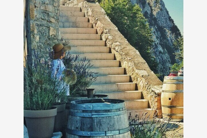 Way to the top