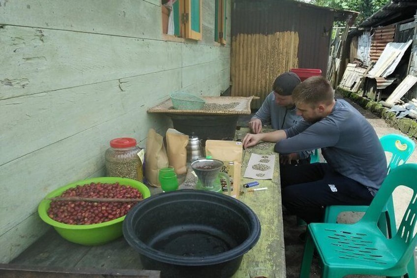 Sumatra Coffee Tour