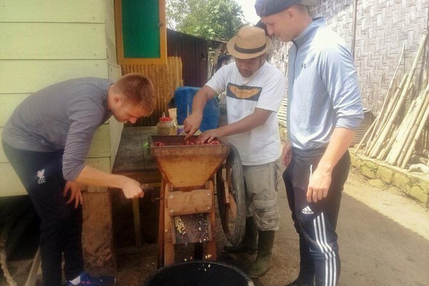 Sumatra Coffee Tour