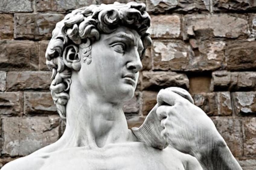 David by Michelangelo (Marble Copy)
