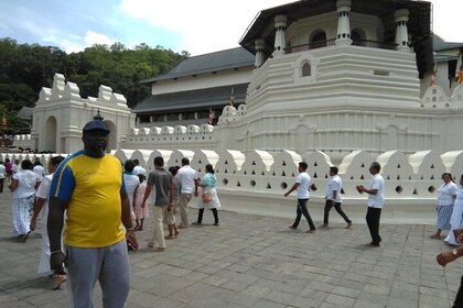 Private all-inclusive Day tour Kandy, Pinnawala, & your own selected attrac...