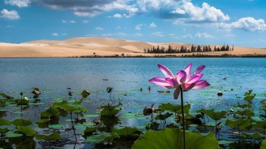 From Ho Chi Minh To Mui Ne Day Tour
