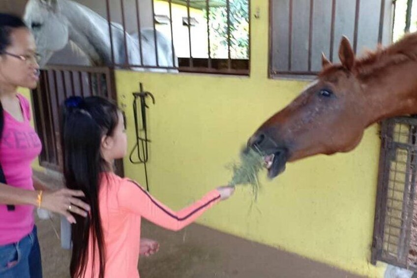 Lovely girl feeding lovely horse...