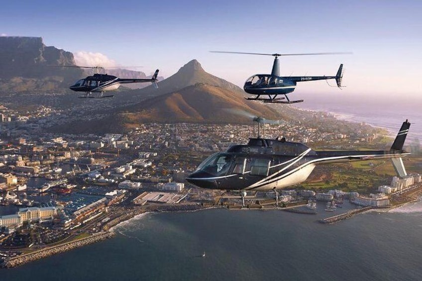 Best of Cape 3-Day Attraction Tour:Arme Helicopter &Cape Peninsula&Wine Tasting