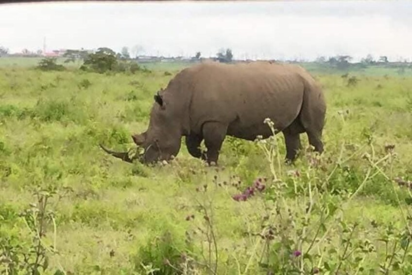 5 Days Budget Camping Safari To See Great Migration