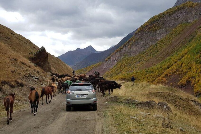 On the way to TRUSO VALLEY
