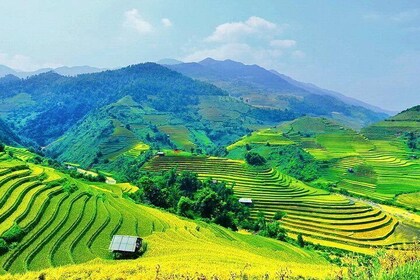 Sapa terrace trek train transfer 2 days 1 night
